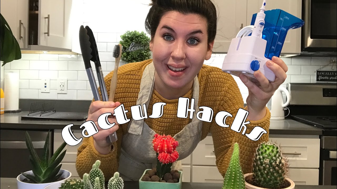 Cactus Hacks - Tips and Tricks For Cacti Care
