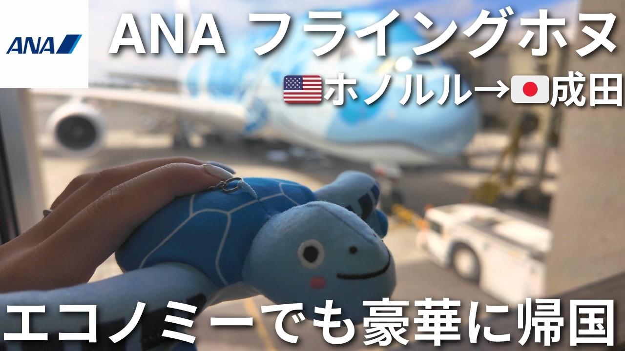 【ANA】フライングホヌでハワイから帰国　(ホノルル✈︎成田) #39