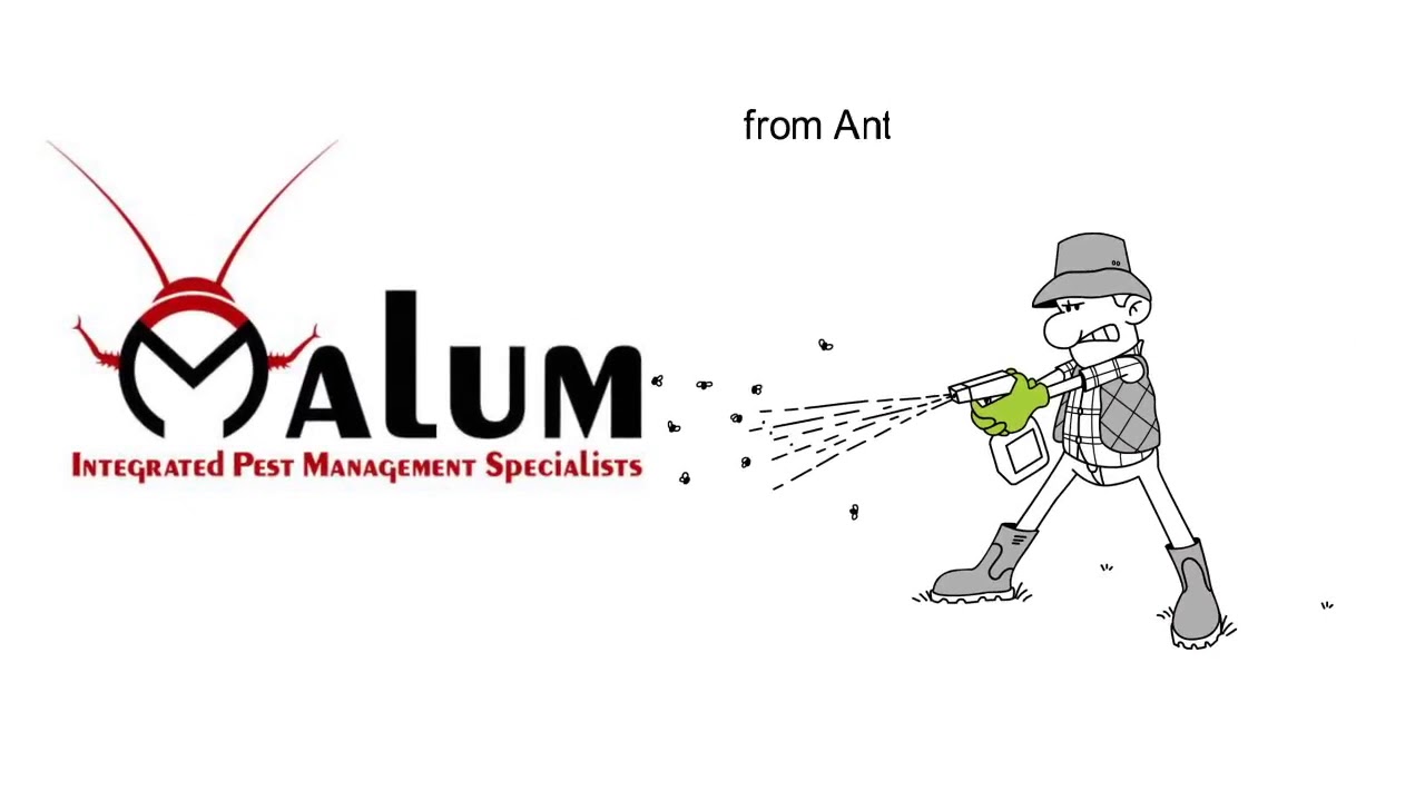 Pest Control Chichester