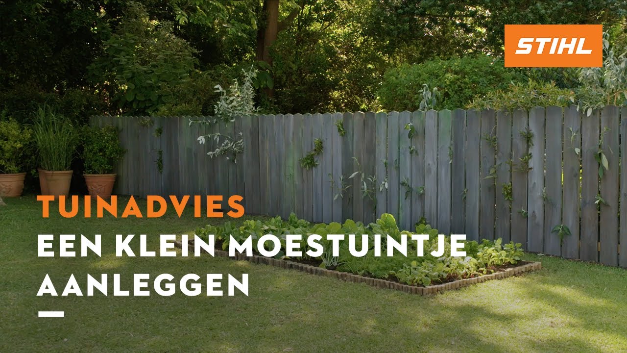 Een klein moestuintje aanleggen - STIHL Tuinadvies