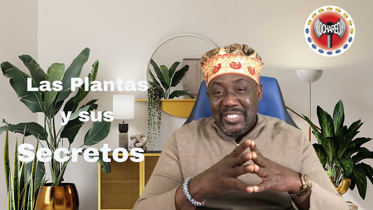 Las Plantas y sus secretos