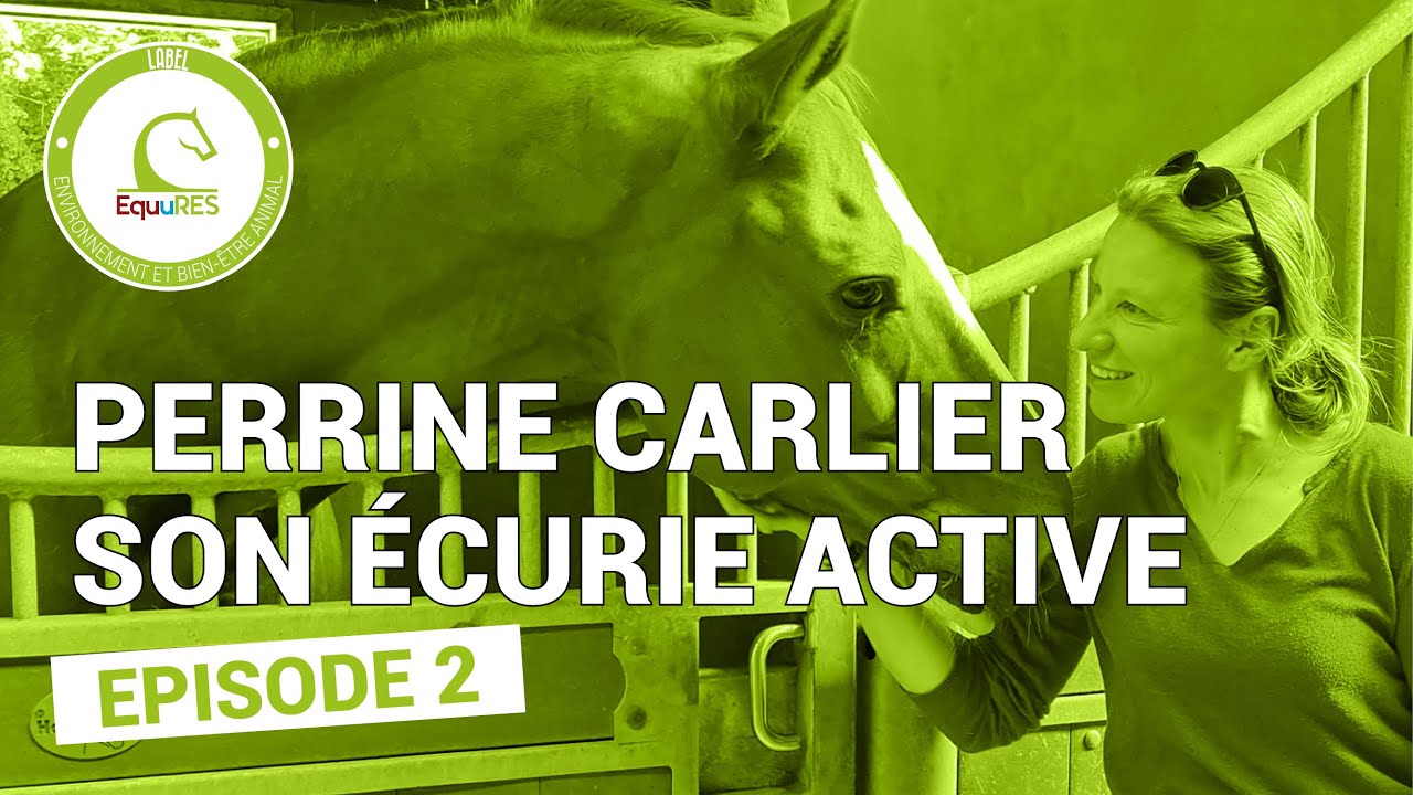 Episode 2 - Les premi&egrave;res &eacute;tapes de l'&eacute;curie Perrine Carlier vers l'&eacute;curie active