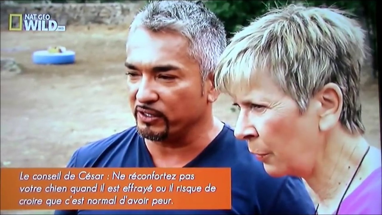 Super Cesar Sophia :  Tapez  Dr.TG47  Pour le site des vidéos de César Millan