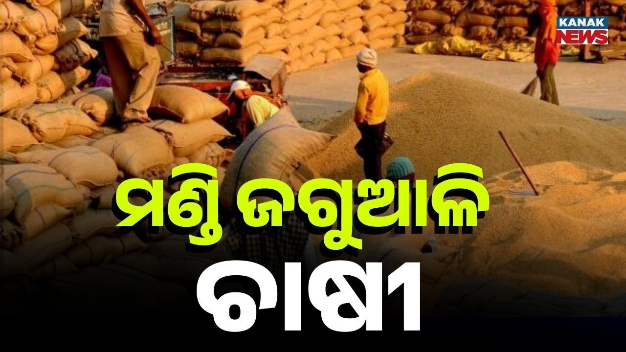 Farmers Protest as Paddy Lies Uncollected in Kendrapara | Thousands of Bags Waiting for Millers
