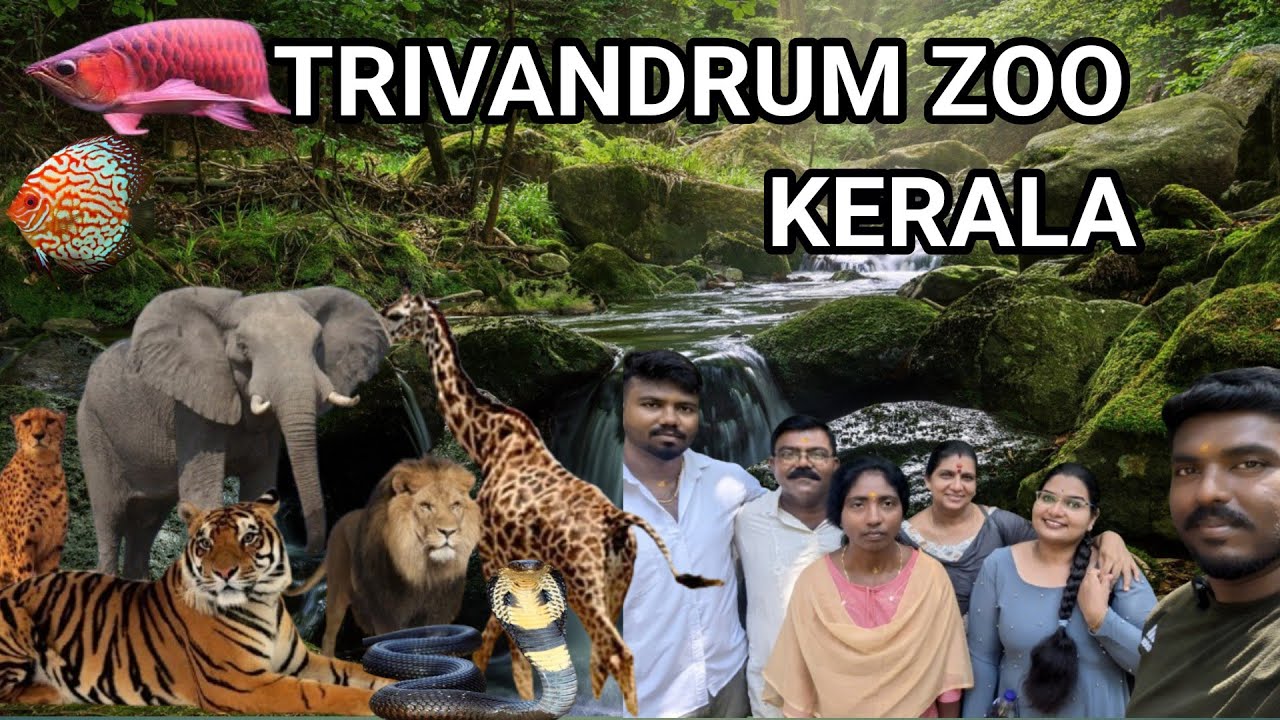 Thiruvananthapuram zoo|Biggest zoo in Kerala|@Enamo pandra