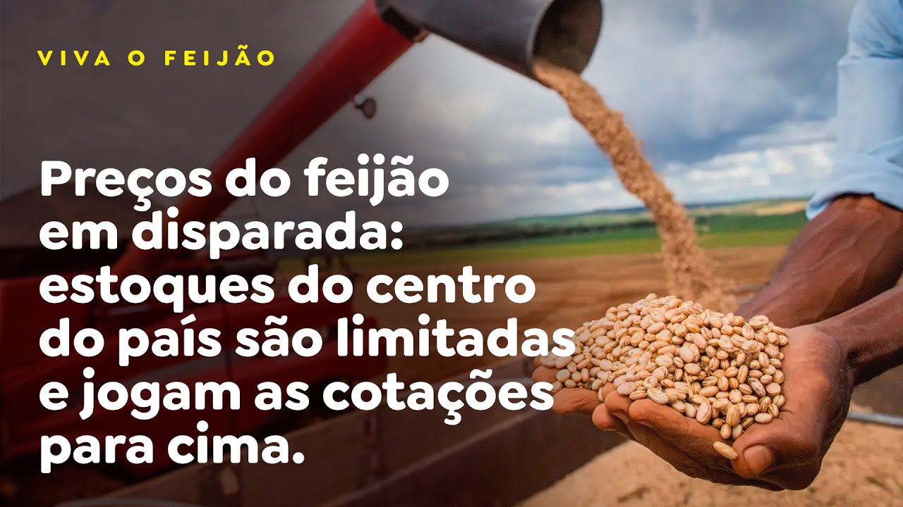 Preços do feijão disparam: estoques do centro do país são limitadas e jogam as cotações para cima.
