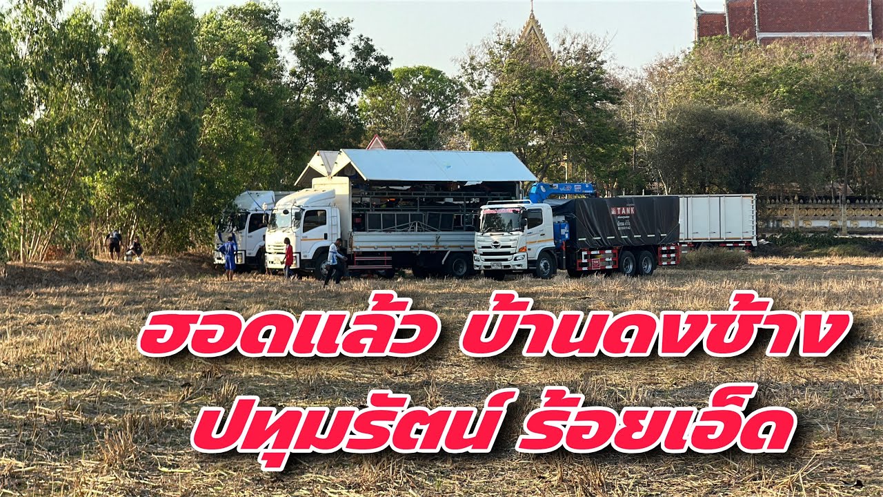 ฮอดแล้ว บ้านดงช้าง ปทุมรัตน์ ร้อยเอ็ด #สาวน้อยเพชรบ้านแพง #สาวน้อยลำเพลินshow 