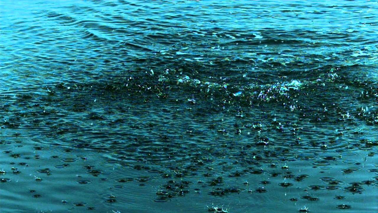 Sebile Splasher filmed at 1000 frames a second
