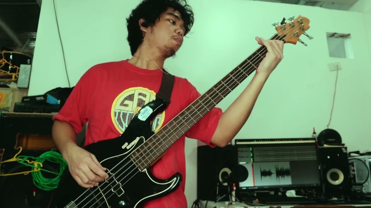 Mudvayne - Fall Into Sleep | Bass Cover