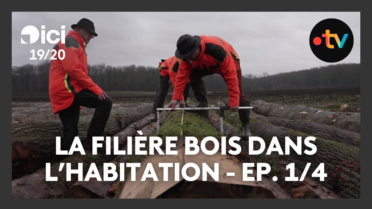 Filière bois dans l'habitation - Ep. 1/4 : la forêt