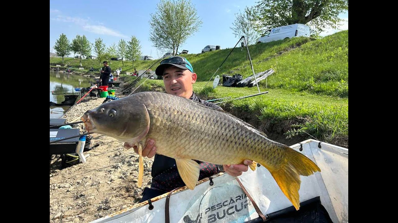 Live de la CN, Lacul Nucetu!