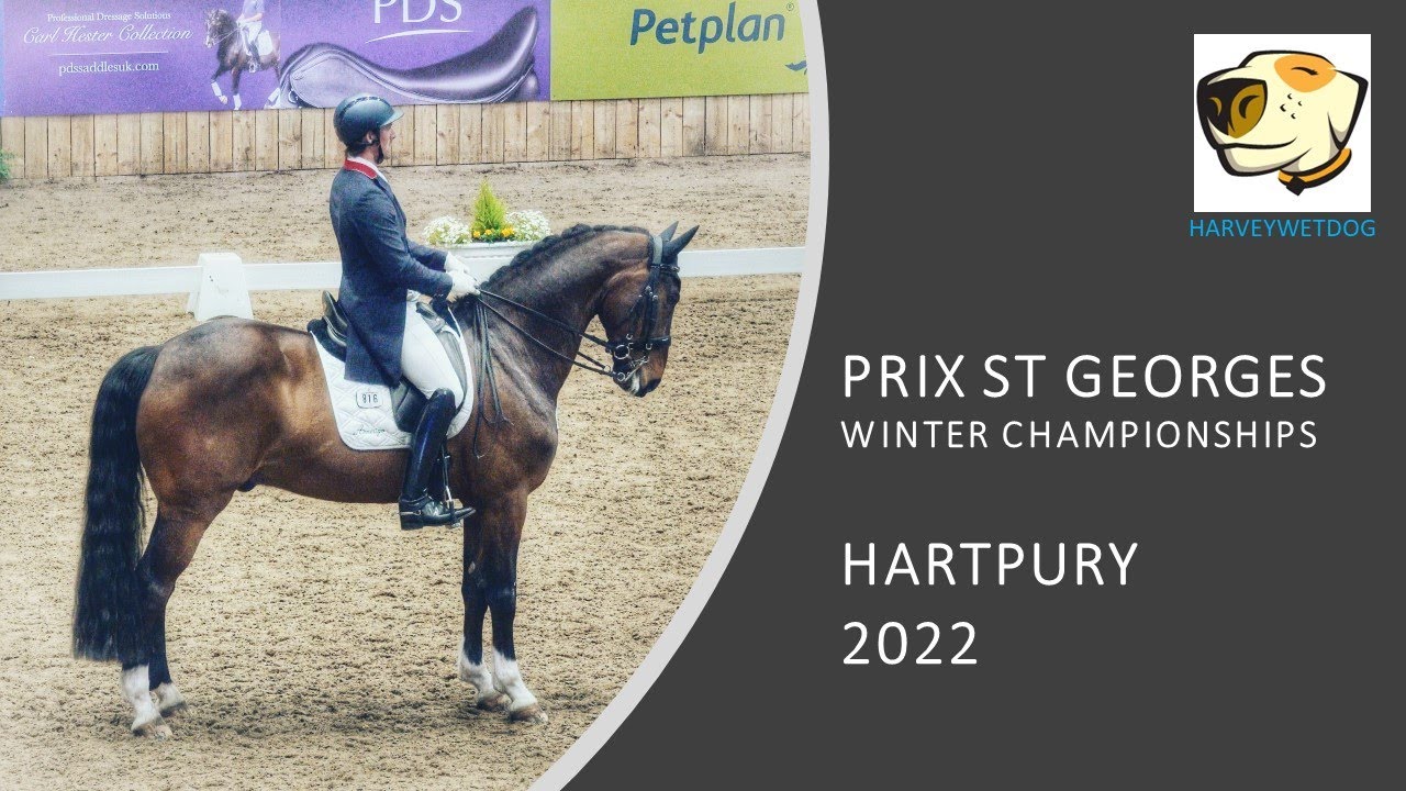 Michael Eilberg and Figlio: PSG GOLD DRESSAGE TEST HARTPURY 2022