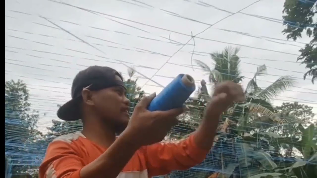 Pag abono sa ampalaya/spray insecticide at polliar/gawa ng trellis #ampalayafarming #galaxymaxf1