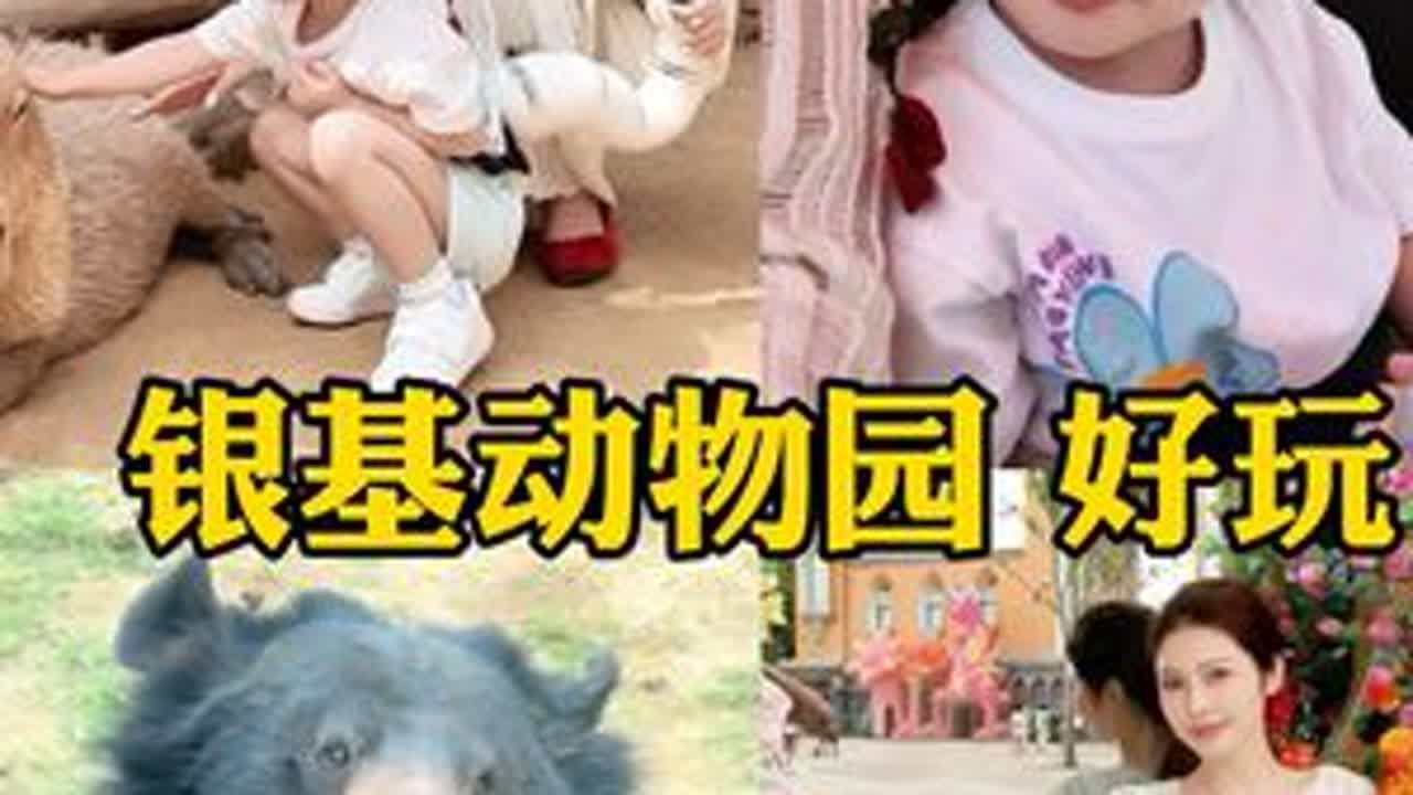 带两岁宝宝在银基动物园畅玩一天要花多少💰#vlog日常 #原创视频 #周末去哪玩