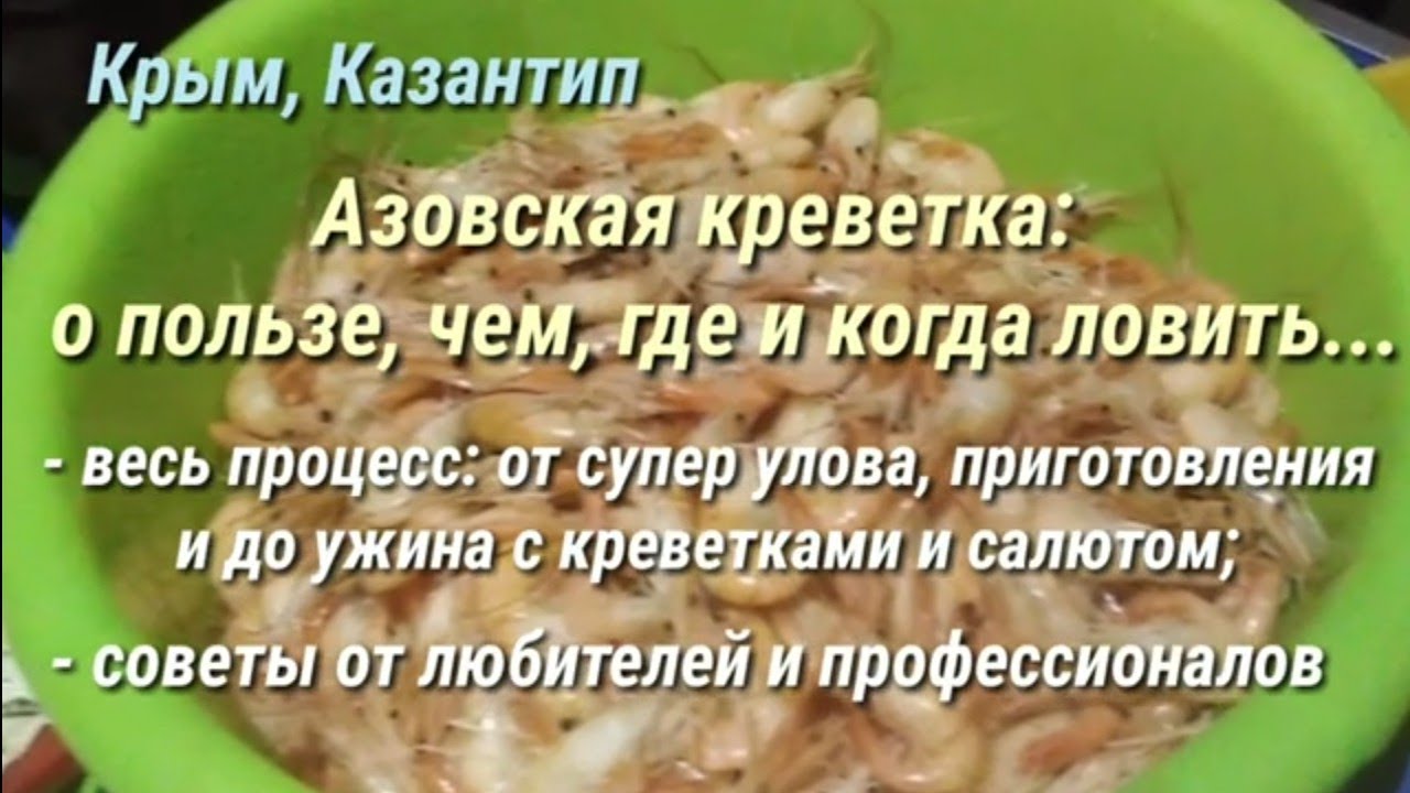 АЗОВСКАЯ КРЕВЕТКА: О ЕЁ ПОЛЬЗЕ, ГДЕ, ЧЕМ И КОГДА ЛОВИТЬ. ОТ УЛОВА ДО ПРИГОТОВЛЕНИЯ. КРЫМ, КАЗАНТИП.