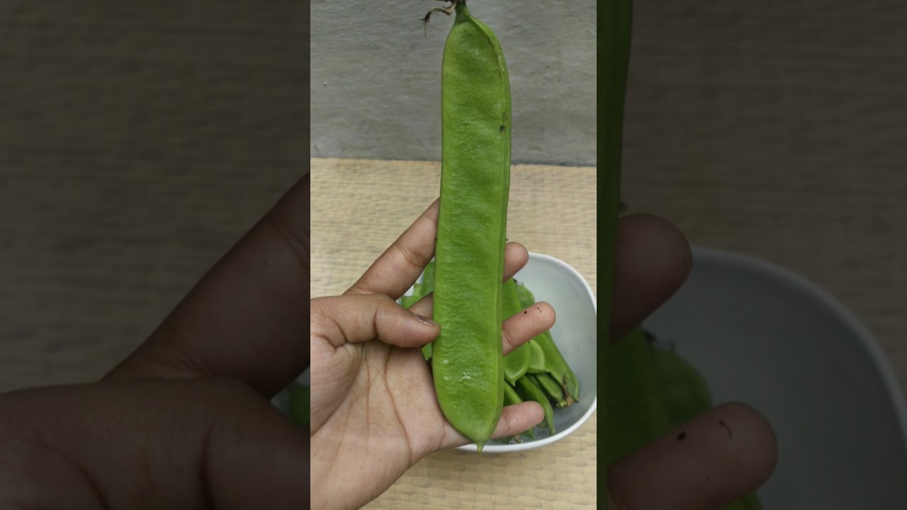 Chhattisgarhi Recipe Tai 🤤🍀How to make Tai's vegetable 🤔#recipe #food #cgdish #cooking