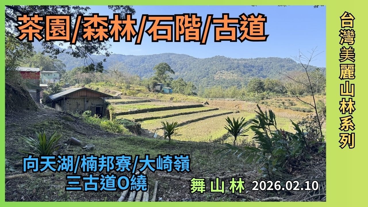 麻竹坑山-向天湖古道-南邦寮古道-阿柔洋山-大崎嶺古道O型2026.02.10