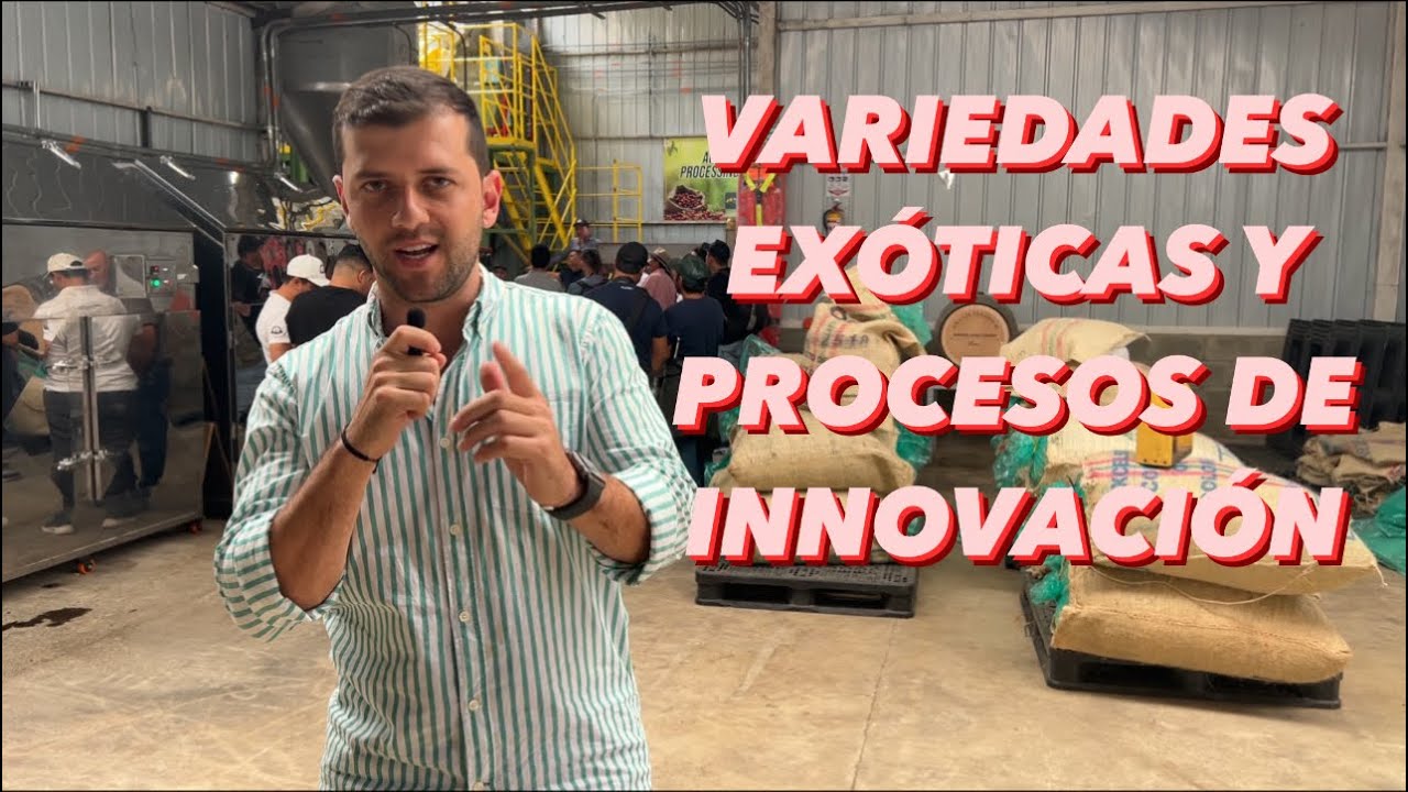 🔥☕️ VISITANDO UNA FINCA CAFETERA CON VARIEDADES EXÓTICAS!