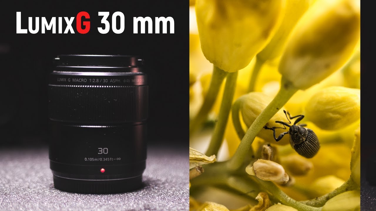 LumixG 30mm macro f/2.8 &ndash; sample footage. Video & Foto | Gear Demo #1 |