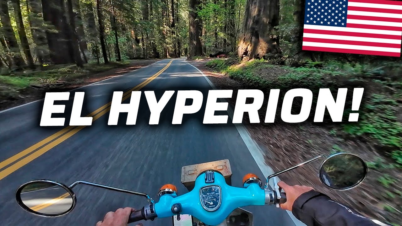 ESTE ES EL ARBOL MAS ALTO DEL MUNDO👀😱 [EL HYPERION] | CALIFORNIA🇺🇸