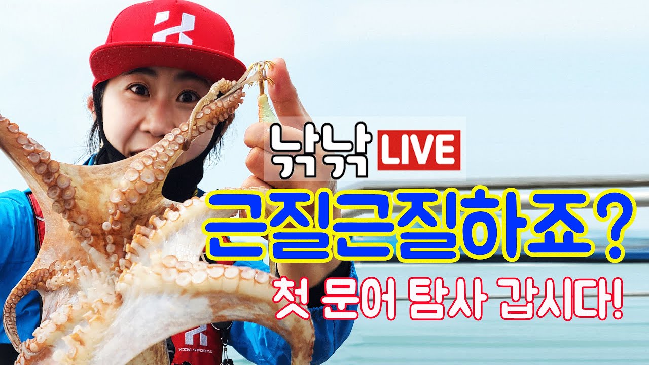 문어낚시 탐사 처음으로 도전! 라이브방송 편집영상/여수문어낚시 문어낚시채비 문어낚시방법