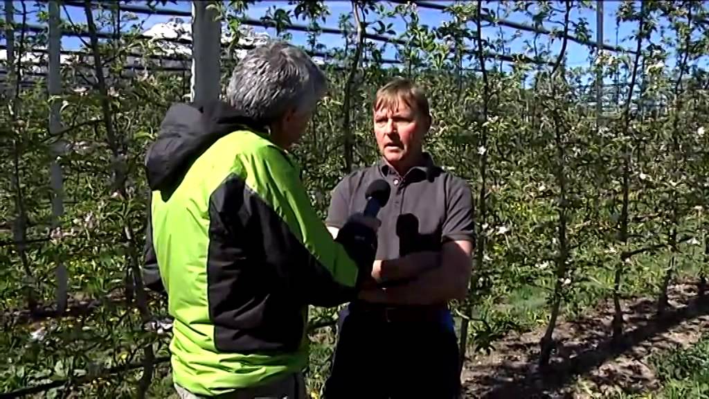 Girovagando con la famiglia Toller, coltivatori di mele a Caldonazzo.