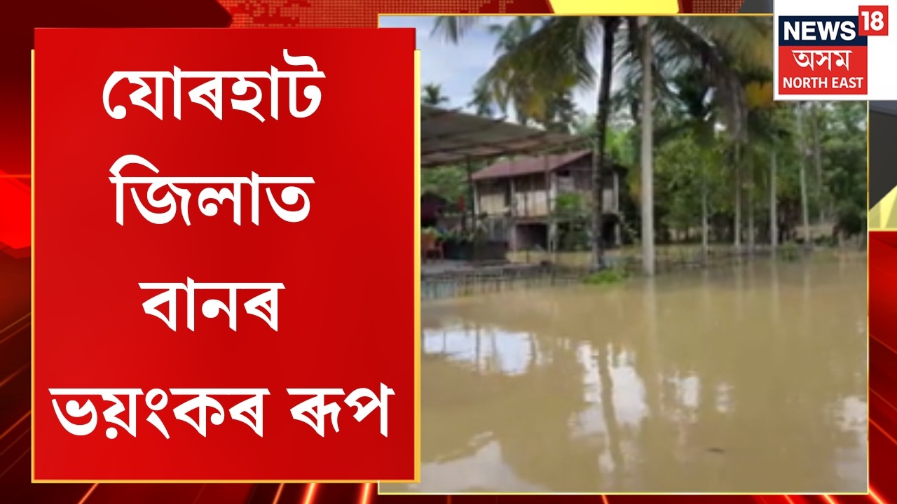 Jorhat Flood Update | যোৰহাট জিলাত বানৰ ভয়ংকৰ ৰূপ | Assam flood | Flood Situation in Jorhat