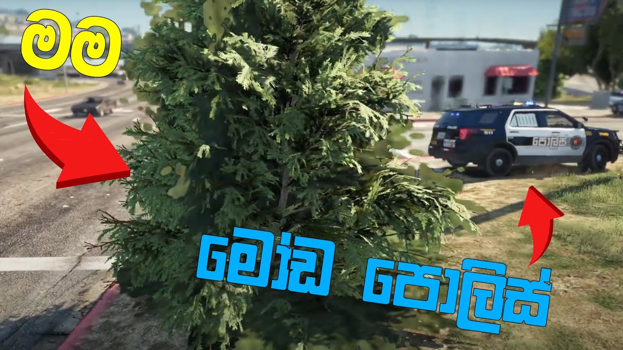 පුහුල් හොරා කරෙන් දැනේ | GTA V RP
