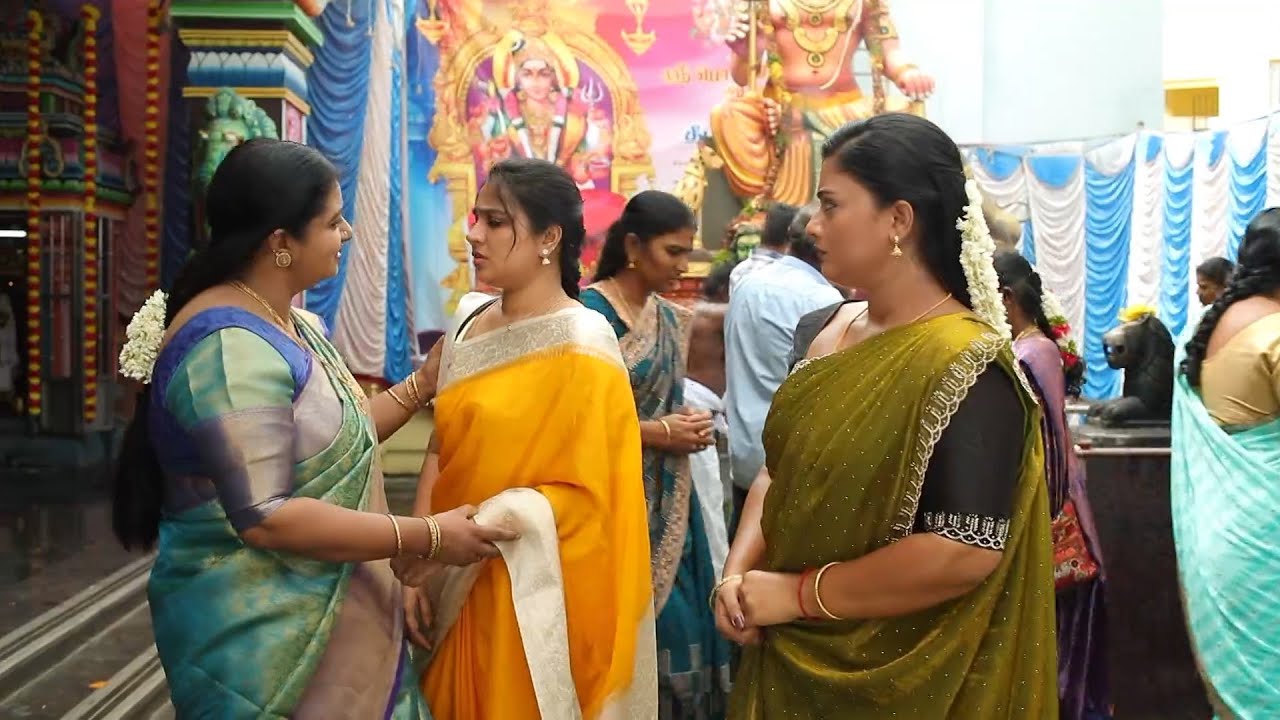 முட்டாள் மீனா ரோகினி லட்சணம் தெறிஞ்ச இப்டி பேயசுவிய விஜயா எல்லாம் மீனாவ சொல்லணும் pallan troll