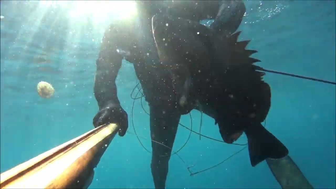 Hitman spearfishing - Dentex + Grouper Vs Sigma 95*