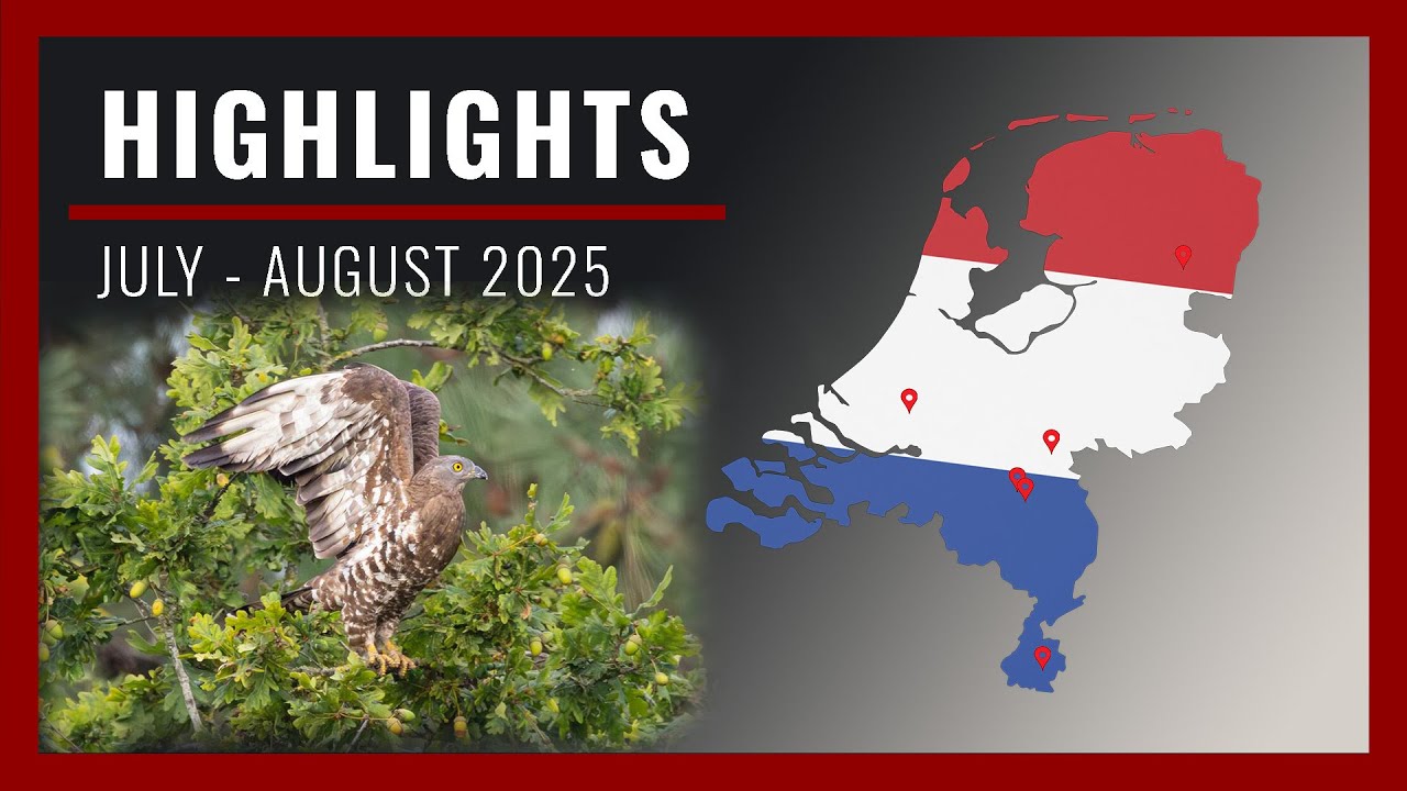 Highlights July - August 2025