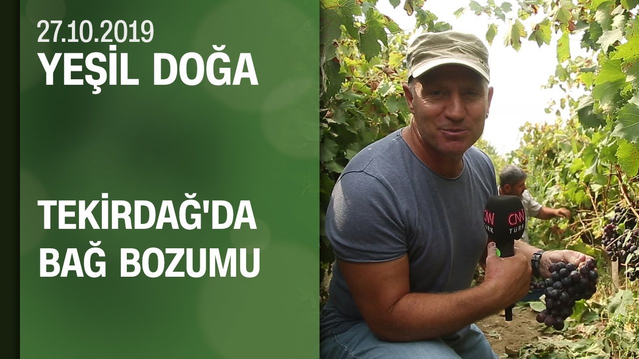 Tekirdağ'ın meşhur bağ bozumu - Yeşil Doğa 27.10.2019 Pazar
