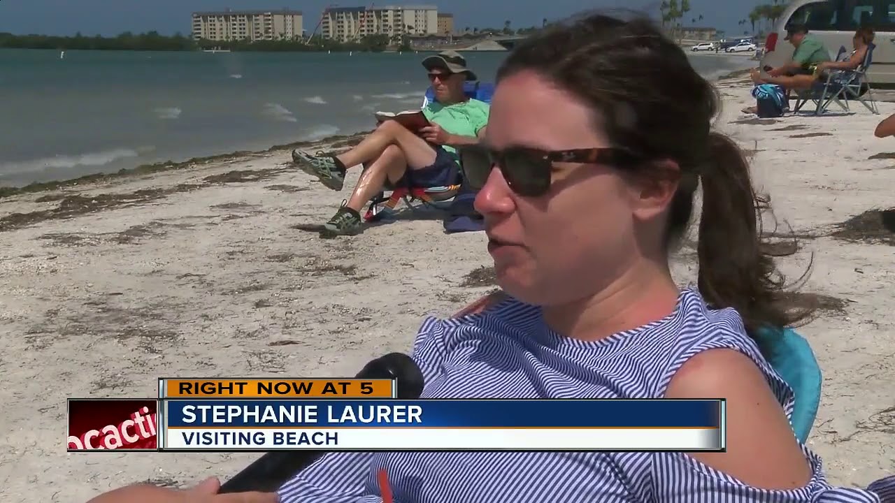 Man caught masturbating to sunbathers in car along Dunedin Causeway