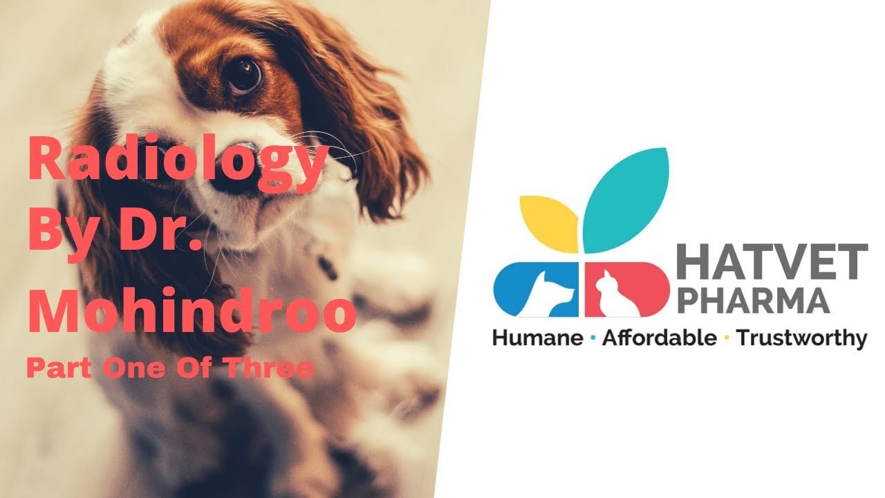 Hatvet's Webinar On Radiology By Dr. Jitender  Mohindroo - Part 1