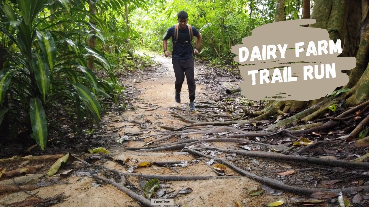 Dairy Farm Nature Park Trail Run (Singapore)