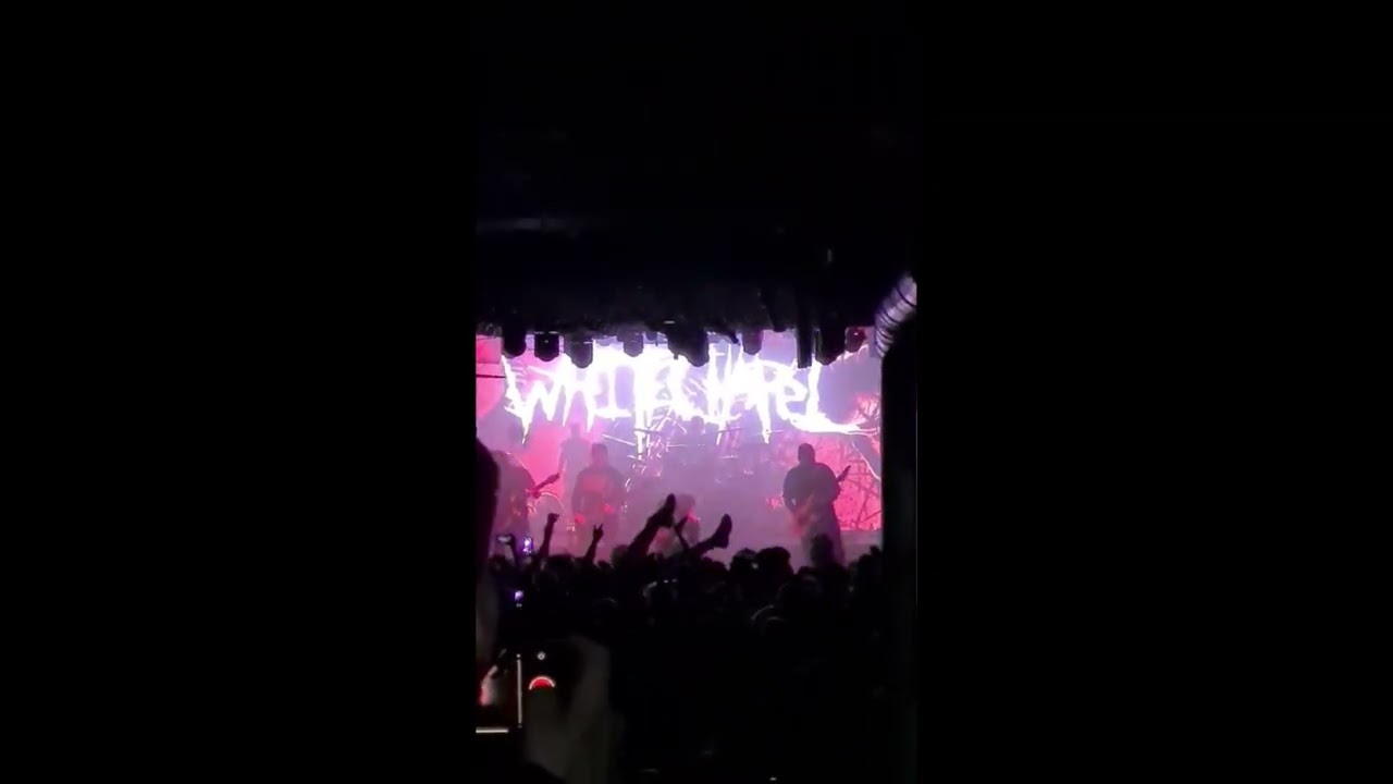 Whitechapel Live Vienna Flex 4.8.2024 @WhitechapelTV 