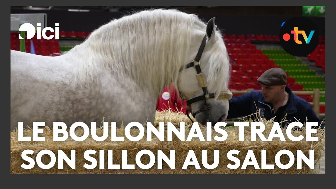 Le Salon de l'agriculture, un tremplin pour les éleveurs