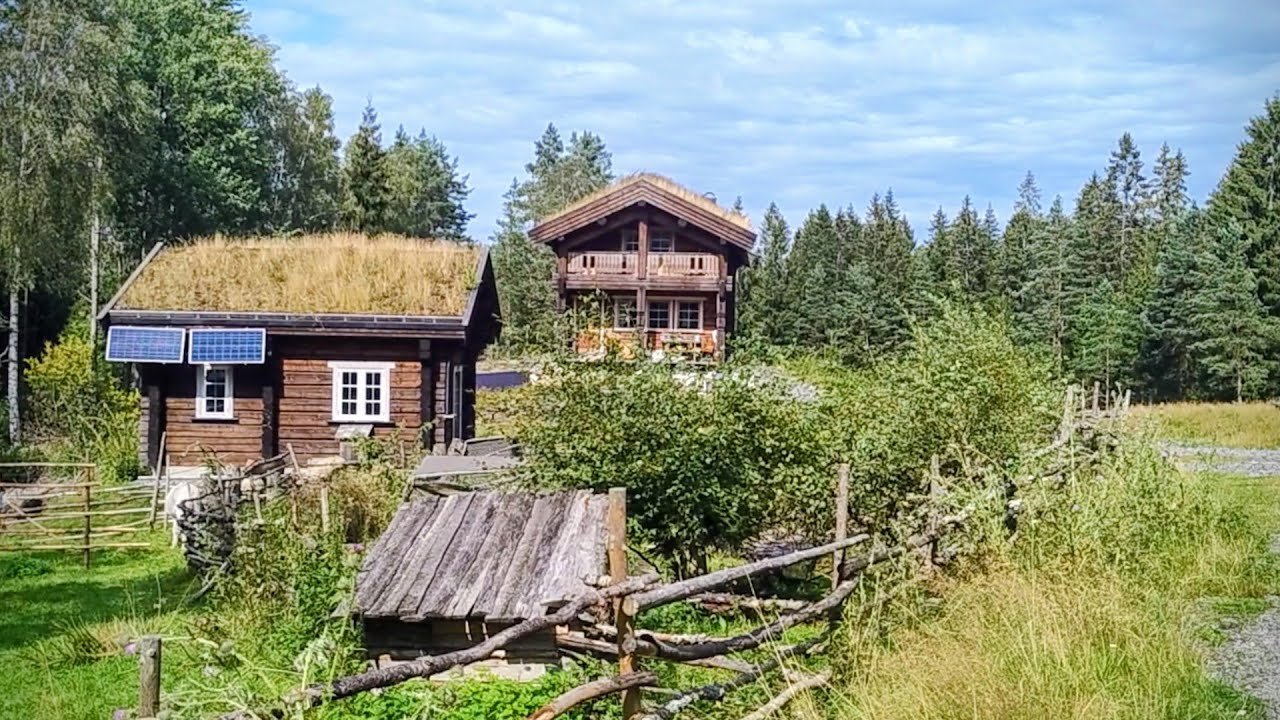 August Days on the Off-Grid Homestead in Norway