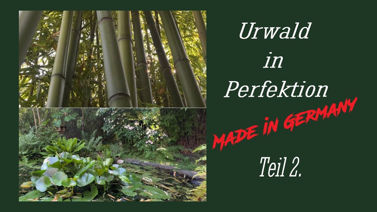 Urwald in Perfektion Teil 2