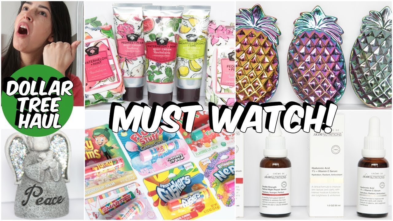DOLLAR TREE HAUL MUST WATCH FEBRUARY 2019 NEW ITEMS