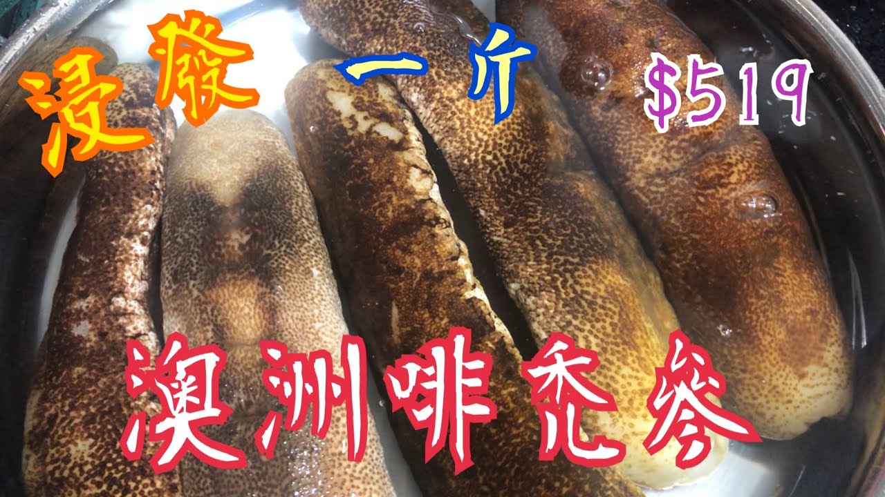 《浸發海參竅門》 澳洲啡禿參 價廉物美 🏆  大家一齊發發發  💰 預祝大家新年進步 身體健康 💪🏻 財運亨通💵🧧Tips for soaking sea cucumbers