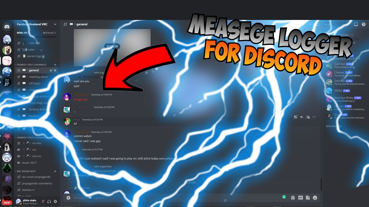 message logger for DISCORD