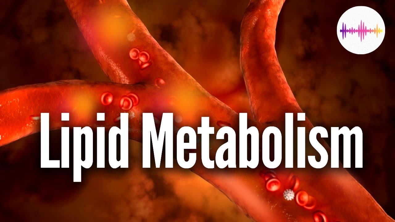 Regulacja Gospodarki Lipidowej | Obniż Poziom Cholesterolu i Tr&oacute;jgliceryd&oacute;w | Muzyka Uzdrawiająca