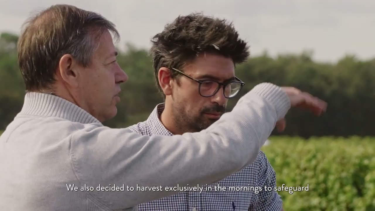 Ch&acirc;teau Margaux: Presentation of the 2023 Pavillon Blanc Second Vin