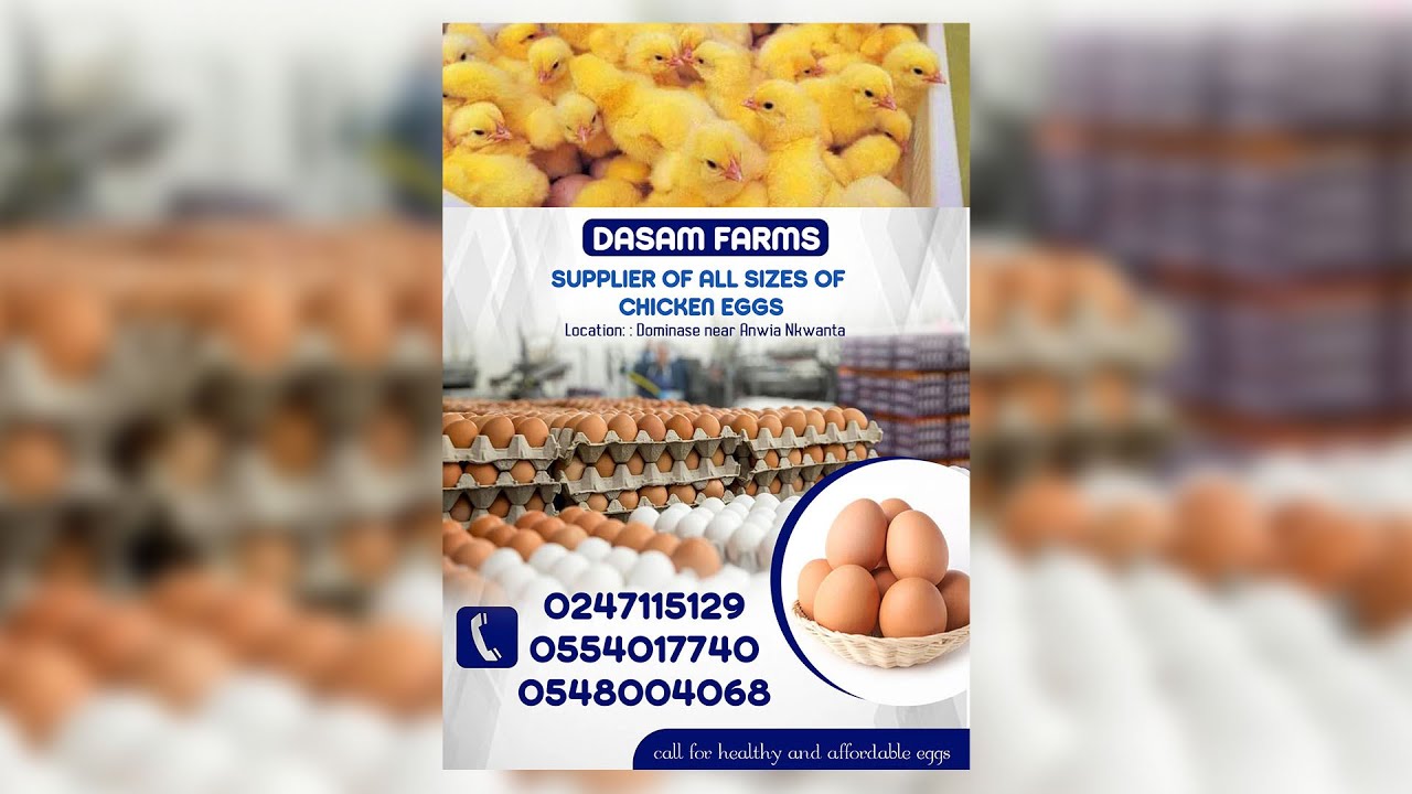 How to design  an Eggs Sales Flyer. || Photoshop CC tutorials.