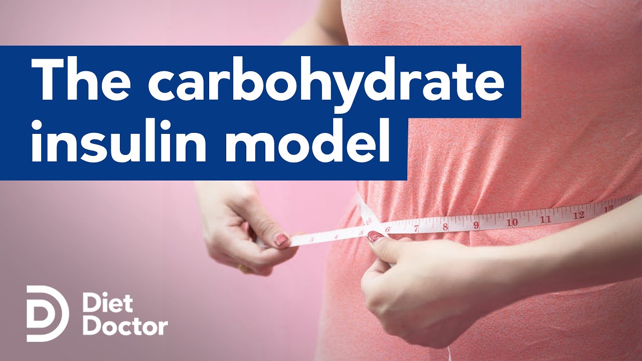Landmark paper explores the carbohydrate insulin model of obesity