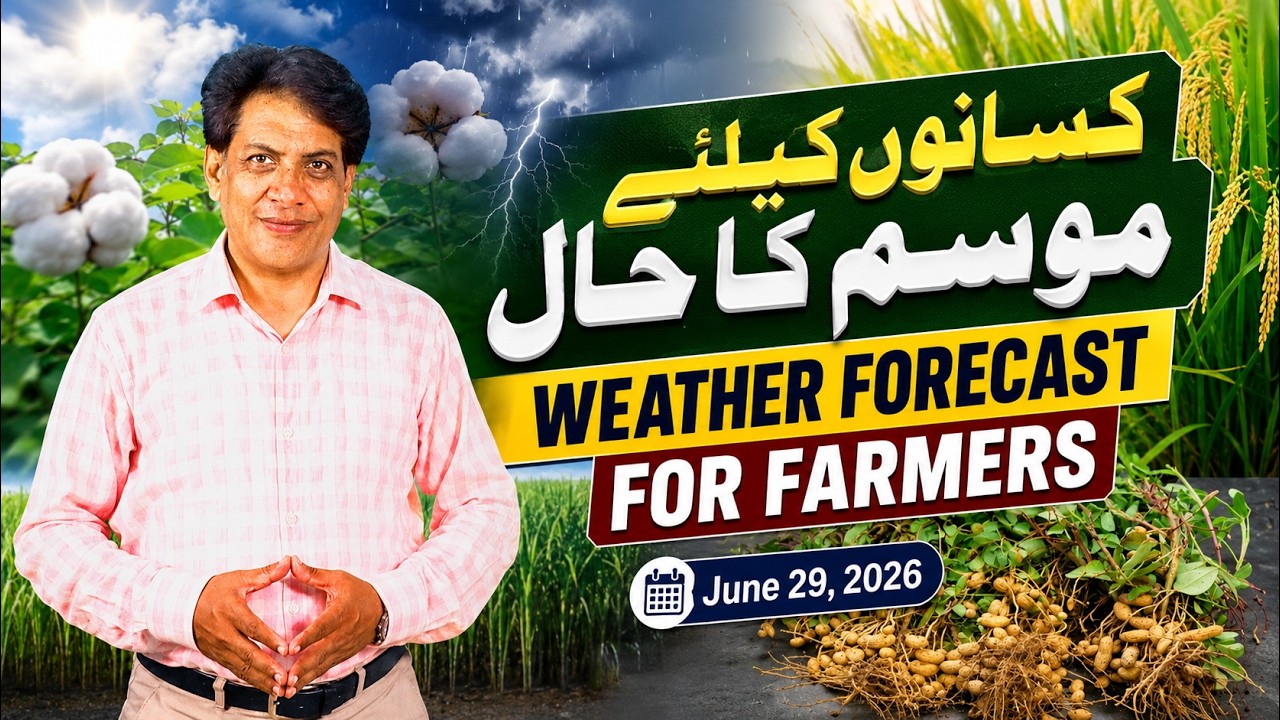 Farmer's Weather Forecast | 29-06-2026