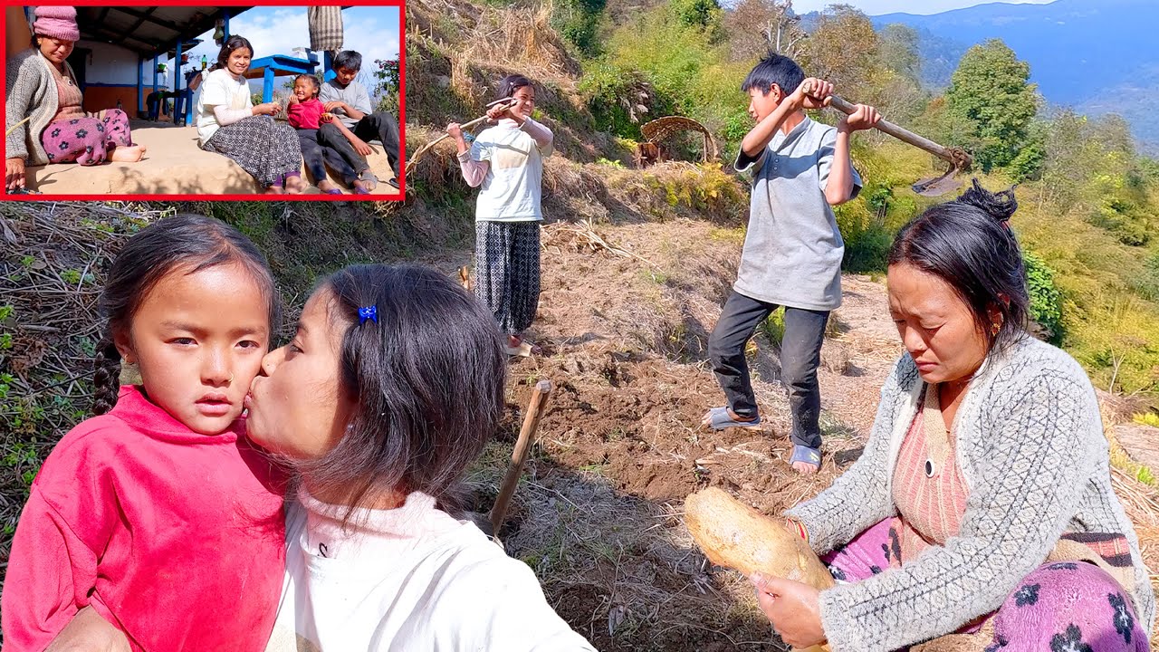 we brother , sisters & mother working together in our farm field || sumnima's family in the village