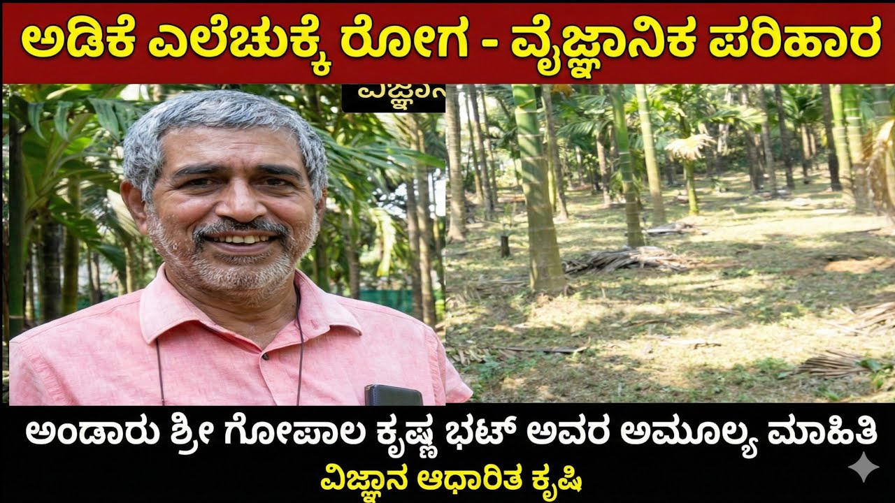 ಅಂಡಾರು ಶ್ರೀ ಗೋಪಾಲಕೃಷ್ಣ ಭಟ್. ಅಡಿಕೆ ತೋಟದ ಎಲೆಚುಕ್ಕೆ ರೋಗ ಹೇಗೆ ಬಂತು ಗೊತ್ತಾ 