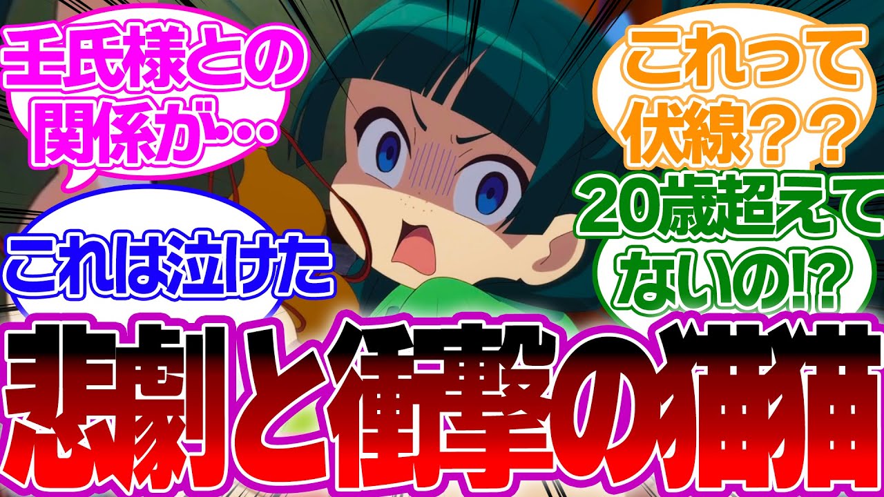 【アニメ9話】また毒殺！？猫猫の悲惨な事情と衝撃事情が明らかになったが色々な意味でやばすぎるwについての視聴者の反応【薬屋のひとりごとリアルタイム反応集】  玉葉   壬氏　高順
